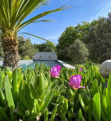 Puimoisson House | Pigeonnier des Banons