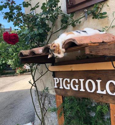 Rocca Malatina House | PIGGIOLO
