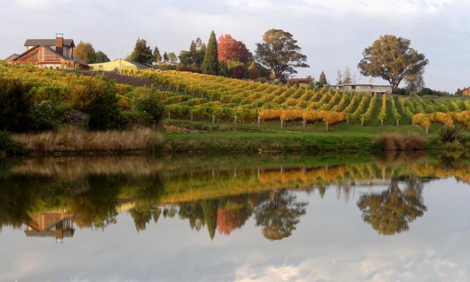 Ruby Bay Bed & Breakfast | Pine Hill Lodge In Vineyard