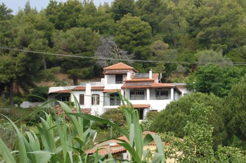 Troulos House | Pine home