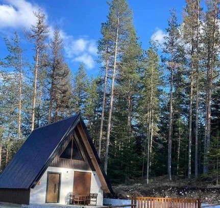 Zabljak House | Pine Retreat