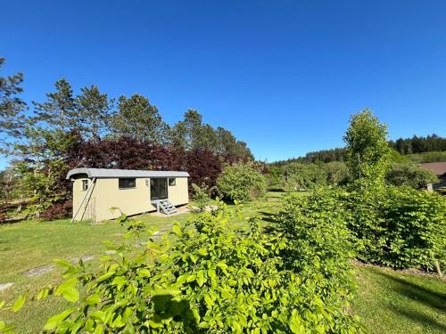 Frandeux Ski Chalet | Pine Tree Tiny cottage