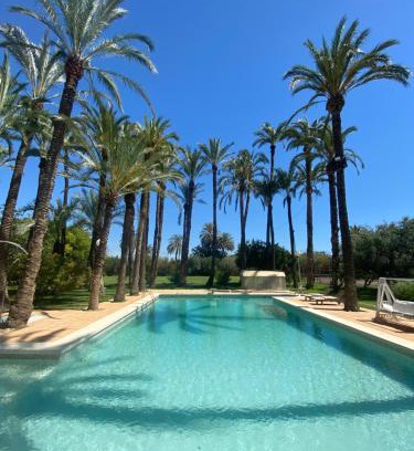 Elche Bed & Breakfast | Pink Lemon House
