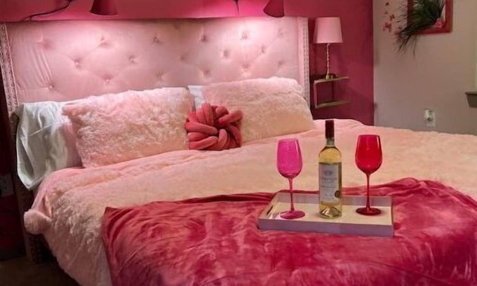 Houston Apartment | Pinkalicious Paradise 1BD/1Bath Galleria/Downtown