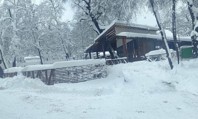 Pinto Cabin | PIREMAPU CABINS