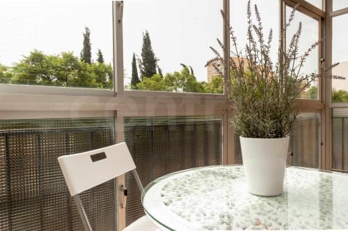 Jardin de la Abadia Apartment | Piso en barrio tradicional malagueño