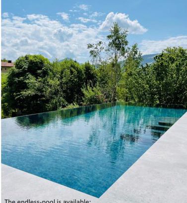 Faistenau Apartment | place2be - with infinity pool