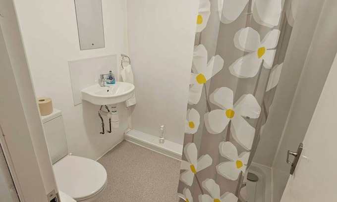 Mynydd Isa Apartment | Plas Bellin Cosy Studio Kitchen & Bathroom TV Wi-Fi Pet-Friendly