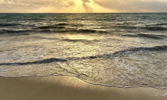 Luis Donaldo Colosio Apartment | Playa Del Carmen - Beautiful Studio 2