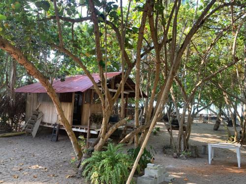 Palomino House | Playa María Pasadía