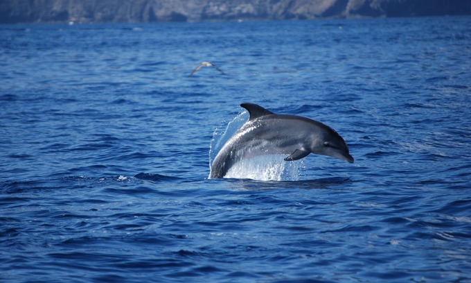 Playa San Juan Apartment | Playa San Juan, a large apartment with 3 bedrooms, for families, group