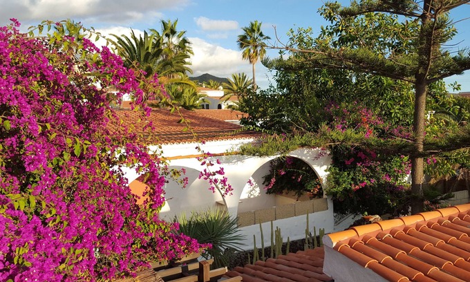 Chayofa Apartment | PLEASANT APARTMENT 2/4 PEOPLE ON THE HEIGHTS OF LOS CRISTIANOS