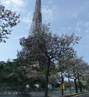 Necker Apartment | Plein coeur de Paris