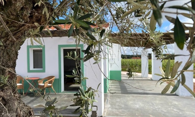 Borba Cottage | Pleno Alentejo Rodeado de Vinhas e Junto as Cidades de Borba, Vila Viçosa e Estr