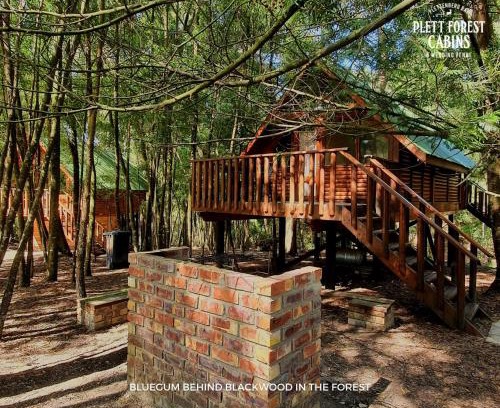 Buffalo Hills Game Reserve Hotel | Plett Forest Cabins