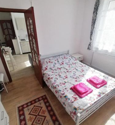 Deva Apartment | Plopilor - Studio 2nd Floor