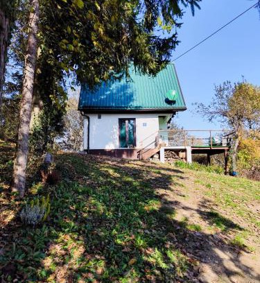 Staro Petrovo Selo Ski Chalet | Pod zelenim krovom