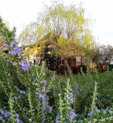 Cicogna House | Podere Piandarca