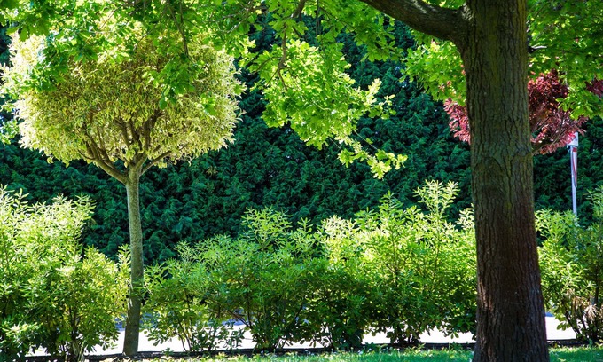 Piove di Sacco Hotel | Point Hotel
