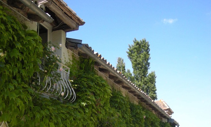 Moussais-la-Bataille House | Poitou, Country house in a calm and relaxing environment.