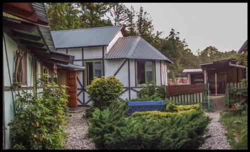 Leoncin House | Pokój Paw-puszcza kampinowska