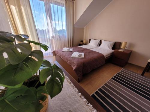 Karwia House | Pokoje i apartamenty "U Beaty"