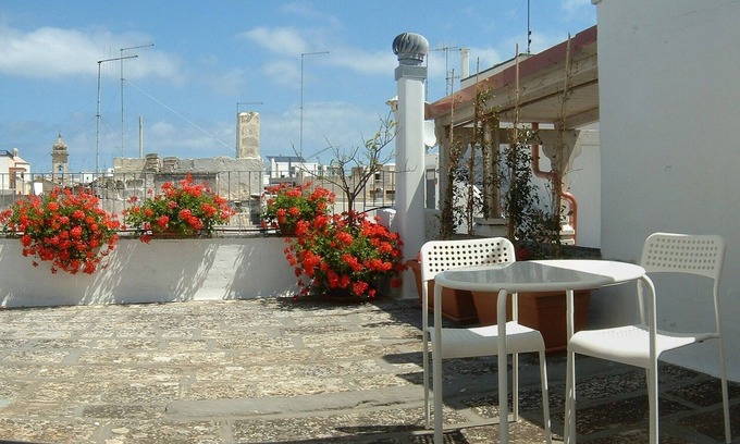Polignano a Mare House | Polignano a Mare, Red Flowers house with terrace