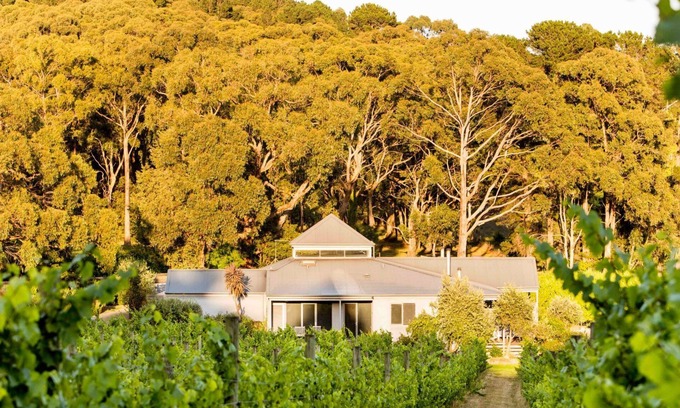 Red Hill Villa | Polperro Winery Villas - Villa 1