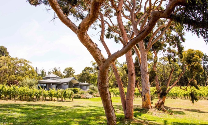 Red Hill Villa | Polperro Winery Villas - Villa 2