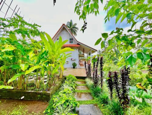 Banyuwangi Villa | Pondok Is Oke Villa Scenic View