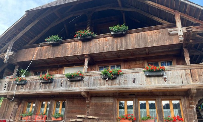 Heiligenschwendi Apartment | Pony Hof