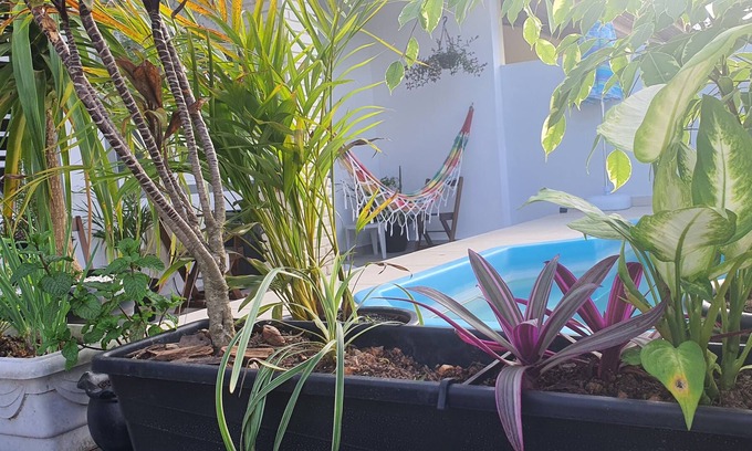 Jardim Imperador House | Pool and Barbecue!