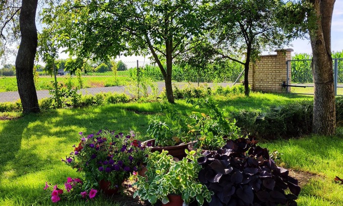 Vojvodina Other | ★ Poolside Paradise: Private Retreat with Pool, Terrace, & More! ★