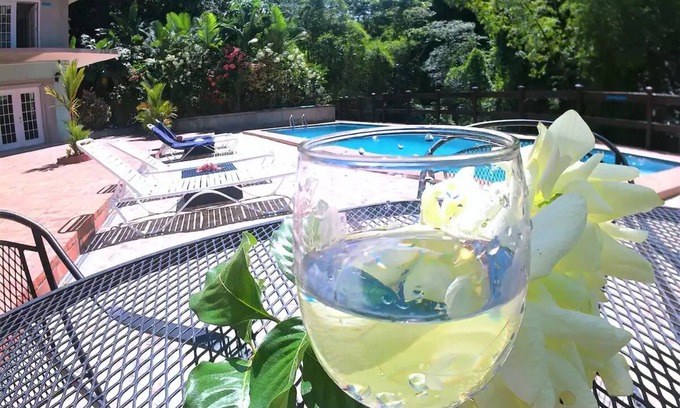 Soufriere Apartment | Poolside Waterfall Apartment