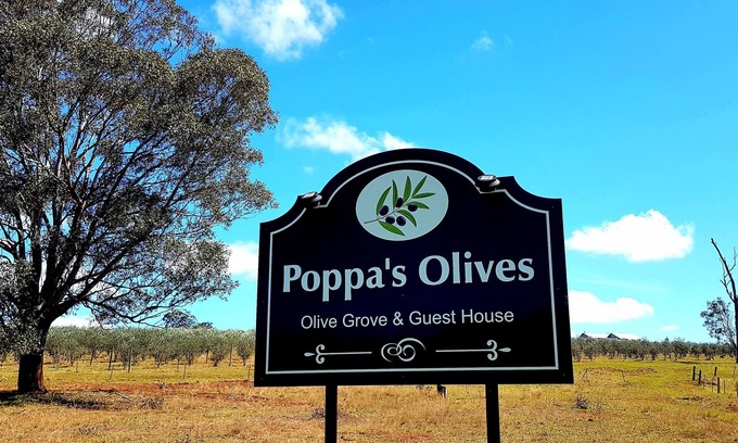 Hunter Valley Other | Poppa's Place @ Dalwood, Hunter Valley Vineyards Farmstay