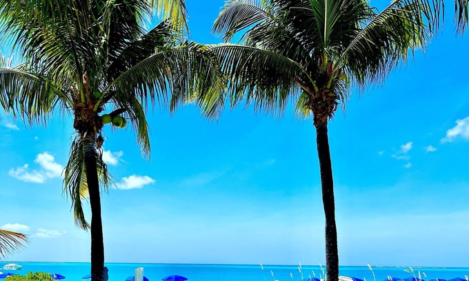 Grace Bay Condo | Popular QUEEN ANN SUITE on Grace Bay Beach
