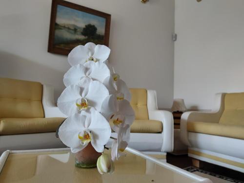 Guaratingueta House | por do sol na montanha