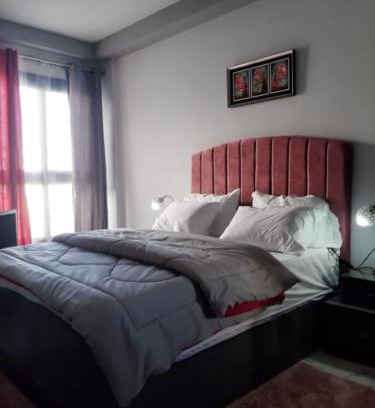 Al-Manasrah Apartment | Porto Said