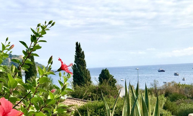 Mola Apartment | Portolano - PORTOLANO