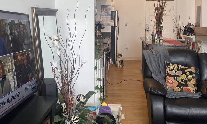 Portsmouth Apartment | Portsmouth NH Living