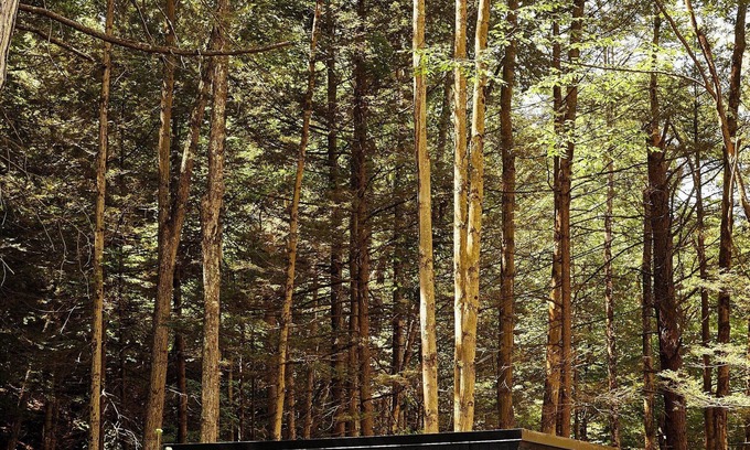 Catskill Cabin | Postcard Cabins Eastern Catskills