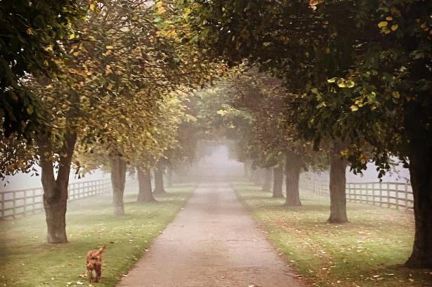 Towcester Apartment | Potcote farm stables accommodation fudges stable