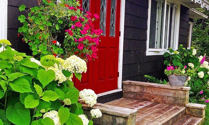 Margaree Valley Cottage | Potter's Cottage in Lovely Margaree Valley