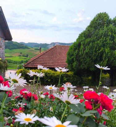 Bento Goncalves Cabin | Pousada Borghetto – Charme e Exclusividade no Vale dos Vinhedos