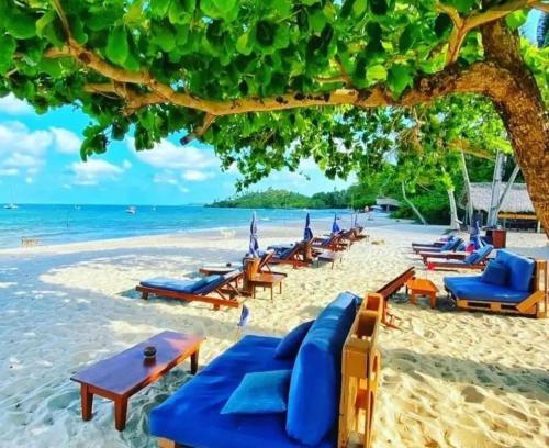 Ilha de Boipeba Hotel | Pousada Boutique Coco Bambu Moreré