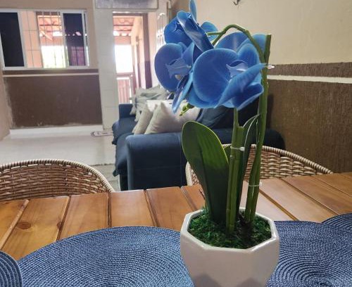 Rio Branco House | Pousada Castelo