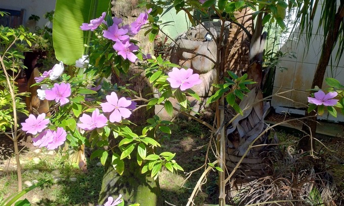Cibratel II Hotel | Pousada Chez Soleil Cibratel Itanhaém