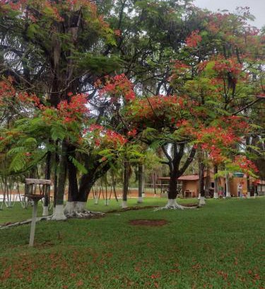 Guape Hotel | Pousada das Palmeiras