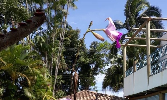 Barra da Lagoa Hotel | Pousada Ilha de Itaka