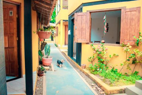 Itaunas Hotel | Pousada Mangue Seco
